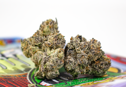 Gooniez - Dragon Trash Flower - 3.5G