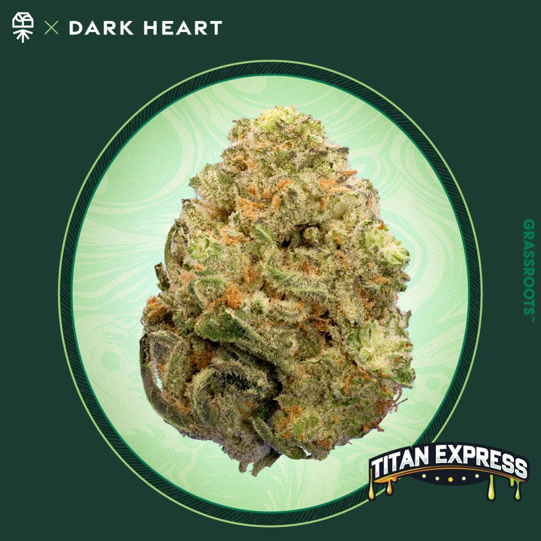 Dark Heart Collection - Titan Express 7g - Flower