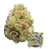 Product Preview Image 1