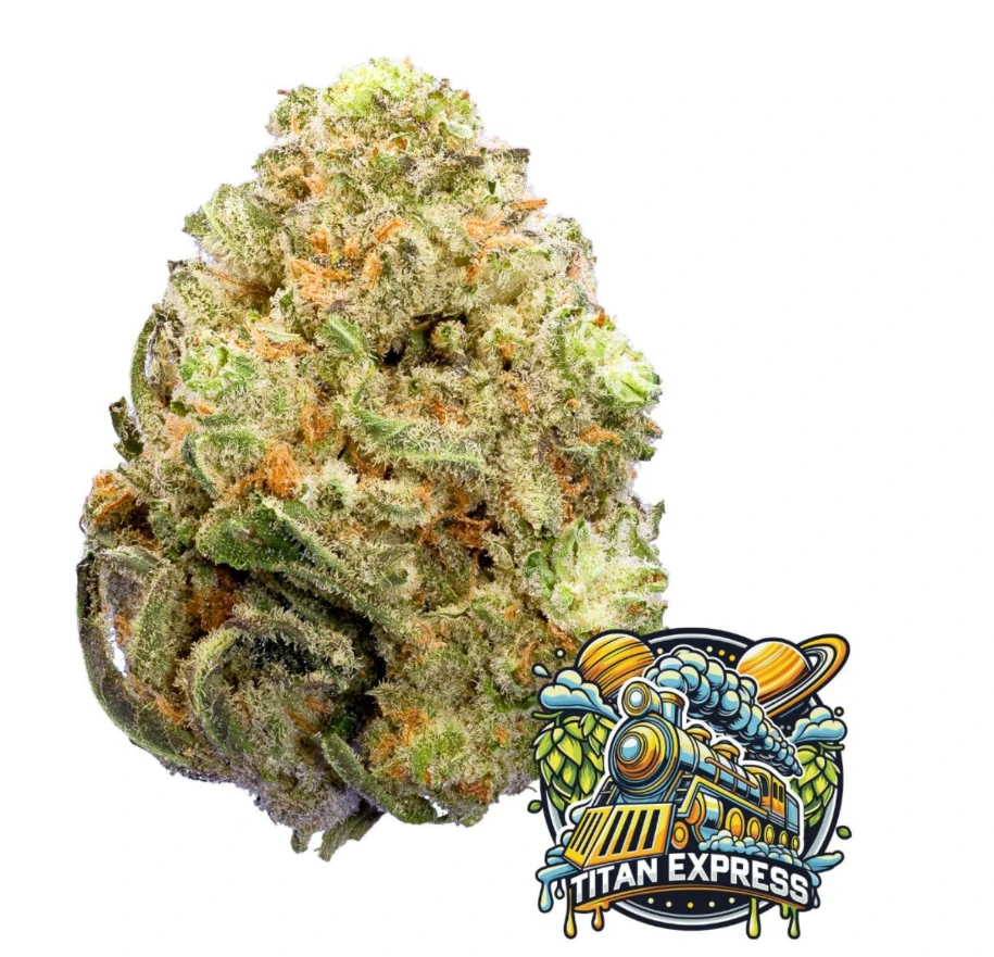 Curaleaf - Grassroots DHC Whole Flower 3.5g Titan Express (S) 01115 Main Image
