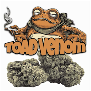 Green Dragon - Green Dragon | Toad Venom | 3.5g
