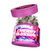 Traditional - Cherry Blossom - Flower - 3.5G