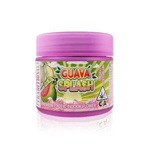 TRADITIONAL - Flower - Guava Splash - 3.5G