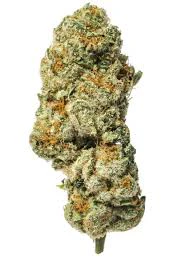 NATURE'S MEDICINE - Buds - Triangle Kush Main Image
