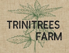 Trinitrees - Jelly Donutz Preroll - 1g