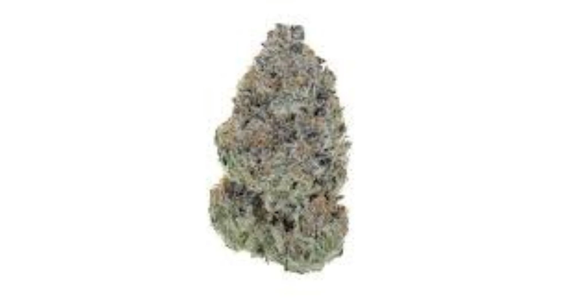 Curaleaf - Grassroots Whole Flower 3.5g Triple Mints (I) 02046 Main Image