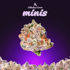 AFFINITY - Triple X Flower Minis T23.23% I 00719