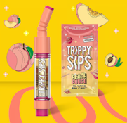 Kool Cherry Cartridge - 1g