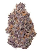 Mid-tier - Tropicana Cookies THCA Hemp Flower