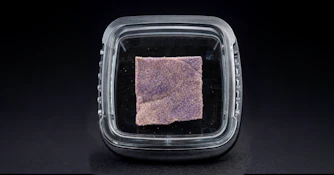 House of Sacci - Trop Cherry - Hash - 1g