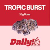 Daily! Tropic Burst 3.5g 0069