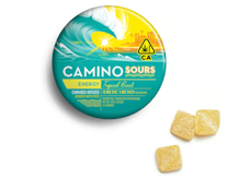 Sour Tropical Burst THC/THCV 10pk Gummies - 100mg