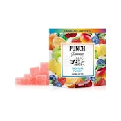 Tropical Punch - Fruit Snacks - 10ct - 100mg