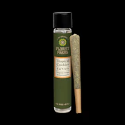 Florist Farms | Tropicana Cookie | 1 Gram Joint | Single