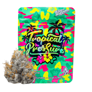 Your Highness - Your Highness - 3.5g Indoor Flower (Tropical Pressure-Hybrid)