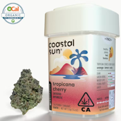 Coastal Sun - Sativa - Tropicana Cherry - (3.5g)