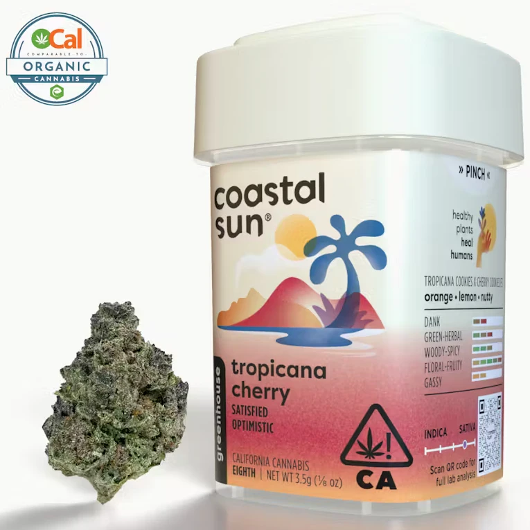 Coastal Sun - Coastal Sun - Sativa - Tropicana Cherry - (3.5g) Main Image
