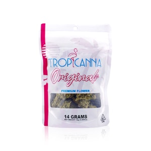 TROPICANNA - TROPICANNA - Flower - Blue Dream - 14G