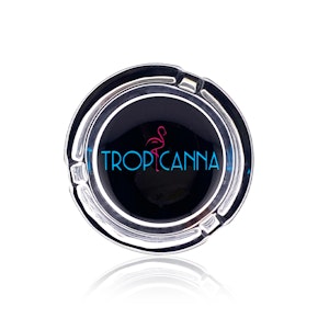 TROPICANNA - Accessories - Tropicanna Ashtray