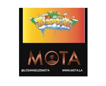 Mota Extract Live Hash Rozin 1g Tropipaya