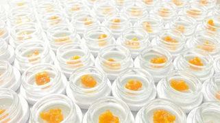 Blank Check - Wax - Sharpies - 1g