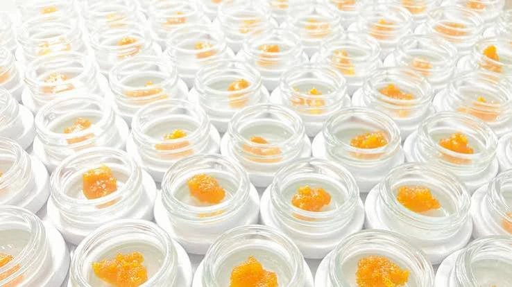 Ten Six Labs - Ten Six Labs - Live Sugar Wax - Taino Vanilla Pie - 2g Main Image