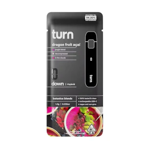 turn - DRAGON FRUIT ACAI DISPOSABLE 1G - TURN