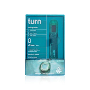 TURN - TURN - All In One - Turnagotchi - RetroVision - 1G