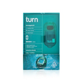 TURN - All In One - Turnagotchi - RetroVision - 2G