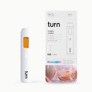 Turn - 1g AIO - Magic Melon