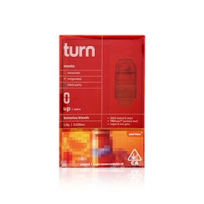 TURN - Vape Pen - Wanta - RetroVision - 1G