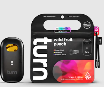 Wild Fruit punch AIO 1G