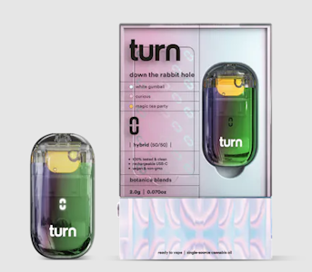 TURN - Turn Retrovison | Down The Rabbit hole | 2G Hybrid disposable