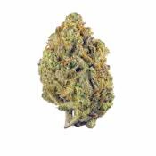 Flor - Turtle Taffy 7g Main Image