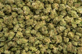 TUSCAN GELATO SMALLS