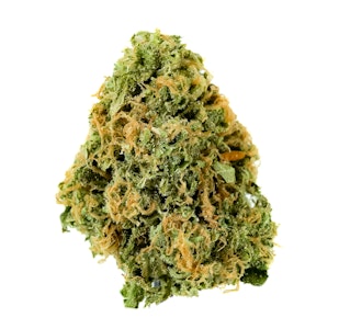 Pruf Cultivar - Pruf Cultivar Key Lime Guava #10