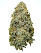 Pruf Cultivar Gassed Out #02