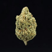 Headband - 3.5g (H) - UpNorth