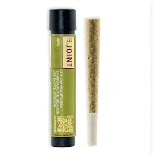 UMAMII - Georgia Apple Pie | Pre-roll | 1.2g | Umamii