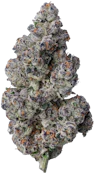 UMMA Sonoma | Blue Lobster | 3.5g
