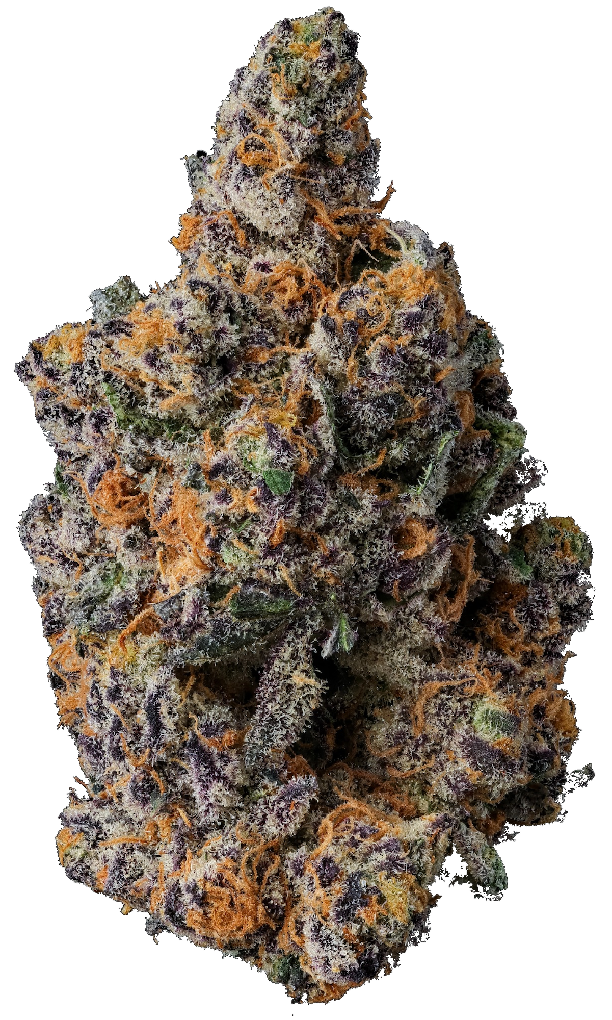 UMMA Sonoma | Cookies & C.R.E.A.M. | 3.5g