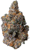 UMMA Sonoma | Cookies & C.R.E.A.M. | 3.5g