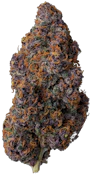UMMA Sonoma | Lost Coast Rose | 3.5g