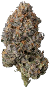 UMMA Sonoma | Pink Lobster | 3.5g
