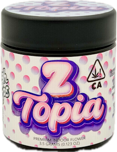 HIGHTOPS - Z Topia 3.5g Jar - High Tops