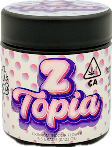 HIGHTOPS - Z Topia 3.5g Jar - High Tops