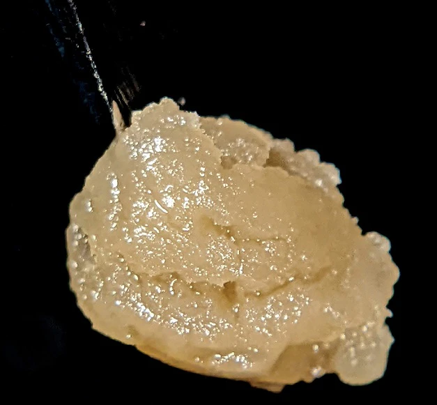 1904 Provisions - 1904 Provisions Gravity Apple 1g Live Hash Rosin ( Cold Cure ) Main Image