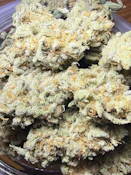 Wilma (1.5:1 CBD/THC) | Weaving Genetics