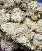 207 Headband | Best Friend Farms