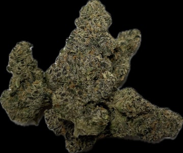 Queso Exotics - Queso Exotics - Labubu Indoor Flower 3.5g